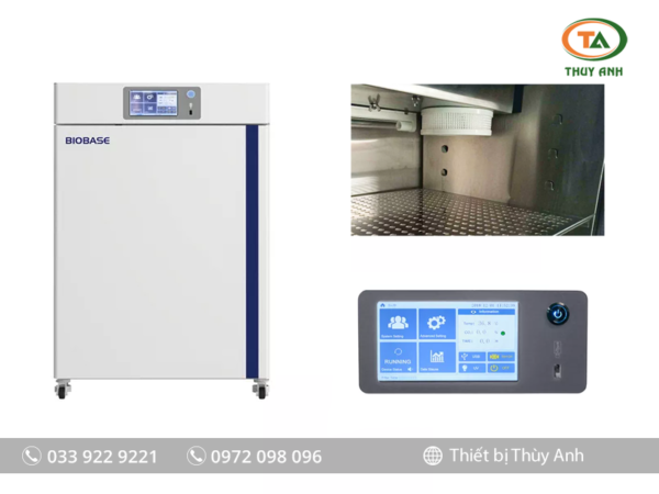 Tủ ấm CO2 BJPX-C50 BIOBASE (50 Lít)