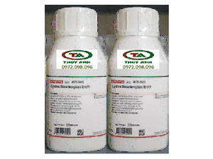 LysineDecarboxylaseBroth-1