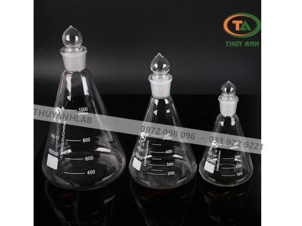 Bình tam giác có nút 100ml