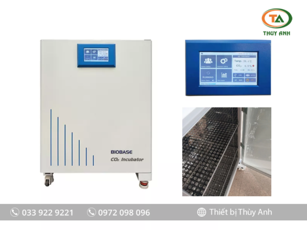 Tủ ấm CO2 BJPX-C80II BIOBASE