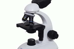 Kính hiển vi là gì? – Cấu tạo và Ứng dụng