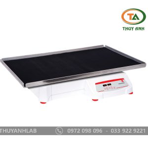 Máy lắc tròn SHHD6825DG OHAUS (15 - 500 vòng / phút)