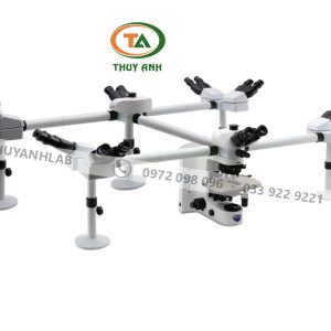 Kính hiển vi hội thảo B-1000Ti-10 OPTIKA (10 người quan sát)