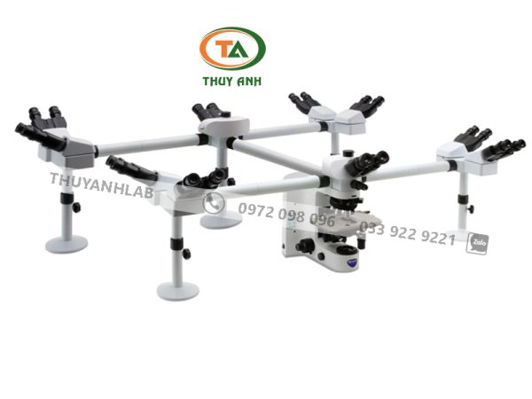 Kính hiển vi hội thảo B-1000Ti-10 OPTIKA (10 người quan sát)