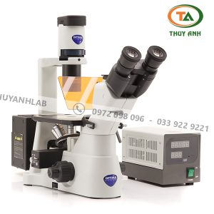 Kính hiển vi soi ngược IM-3FL4 OPTIKA (phản pha, huỳnh quang)