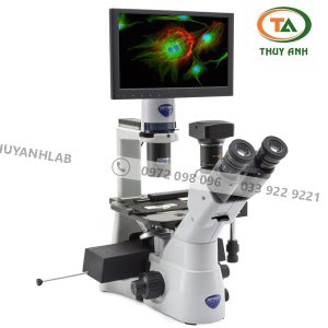 Kính hiển vi soi ngược IM-3LD4D OPTIKA (phản pha, huỳnh quang)