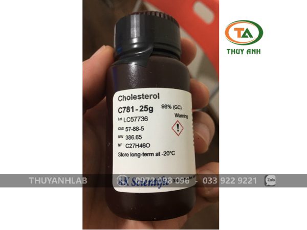 Cholesterol