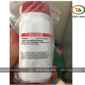 Trypsin from porcine pancreas