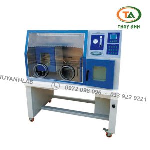 Tủ ấm kỵ khí YQX-II ZENITH LAB (RT + 5 ~ 50°C)