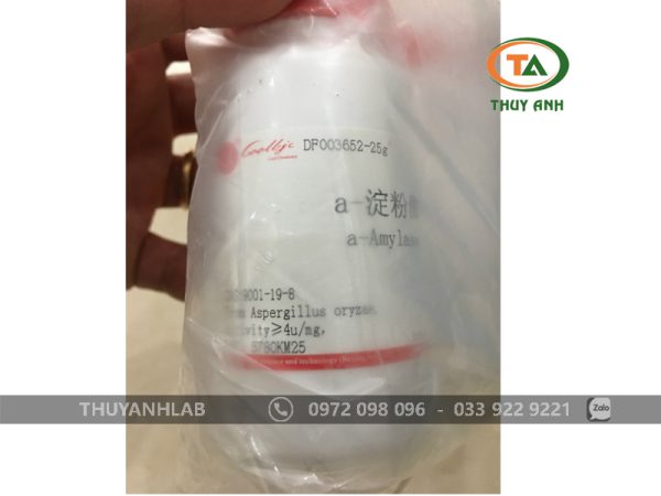 alpha-Amylase