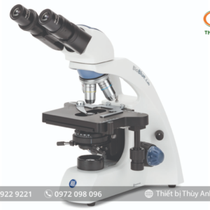 Kính hiển vi sinh học 2 mắt BB.1152-PLi EUROMEX (Vật kính IOS, 1000X)