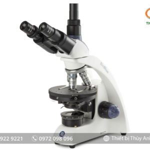 Kính hiển vi sinh học 3 mắt BB.4243-P-HLED EUROMEX (40-600X)