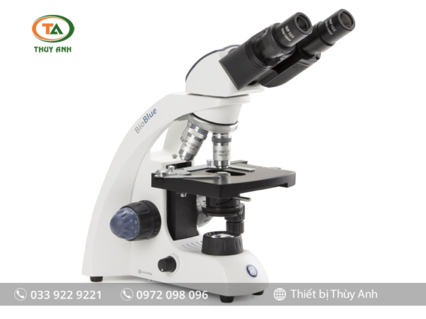 Kính hiển vi sinh học 2 mắt BB.4260 EUROMEX (1000X)