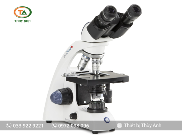 Kính hiển vi sinh học 2 mắt BB.4260-E EUROMEX (40-1000X)