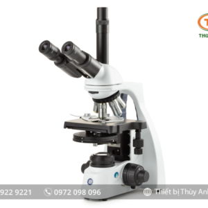 Kính hiển vi phản pha 3 mắt BS.1153-EPLPhi EUROMEX (1000X)