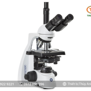 Kính hiển vi phản pha 3 mắt BS.1153-PLPhi EUROMEX (1000X)