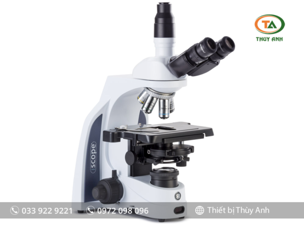 Kính hiển vi phản pha IS.1153-PLPHi EUROMEX (1000X)