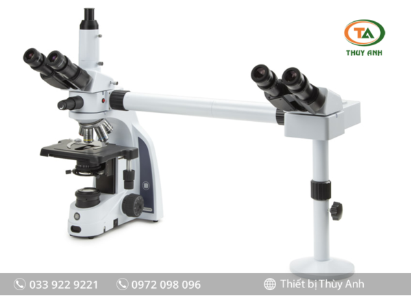Kính hiển vi thảo luận IS.1156-PLi2 EUROMEX (2 người quan sát, 1000X)