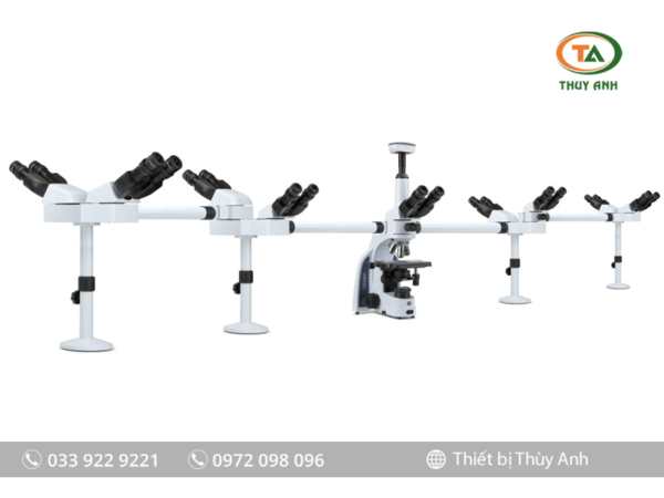 Kính hiển vi thảo luận IS.1156-PLi9 EUROMEX (9 người quan sát, 1000X)