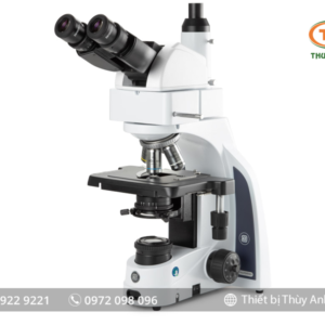 Kính hiển vi 3 mắt IS.1159-PLi EUROMEX (trường sáng, 1000X)