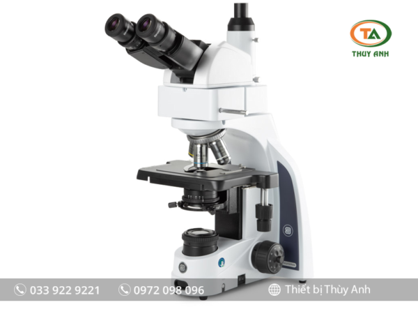 Kính hiển vi 3 mắt IS.1159-PLi EUROMEX (trường sáng, 1000X)