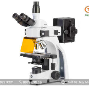 Kính hiển vi huỳnh quang IS.3153-PLFi/3 EUROMEX (kết nối với camera)