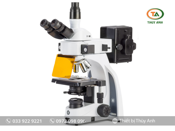Kính hiển vi huỳnh quang IS.3153-PLi/3 EUROMEX (kết nối với camera)