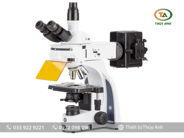 Kính hiển vi huỳnh quang IS.3153-PLi/6 EUROMEX (kết nối với camera)