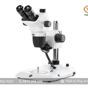 Kính hiển vi soi nổi NZ.1703-P EUROMEX (6,5X-55X)