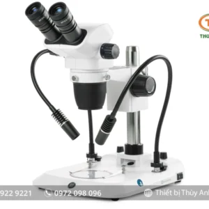 Kính hiển vi soi nổi NZ.1902-PG EUROMEX (7X-45X)