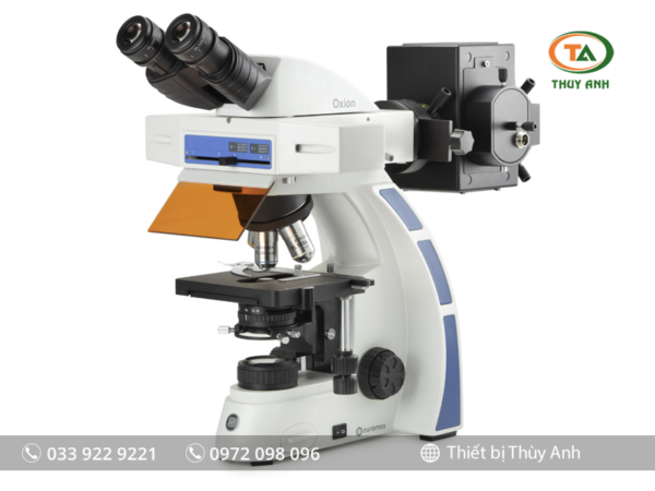 Kính hiển vi huỳnh quang OX.3080 EUROMEX (Oxion, 40-1000X)