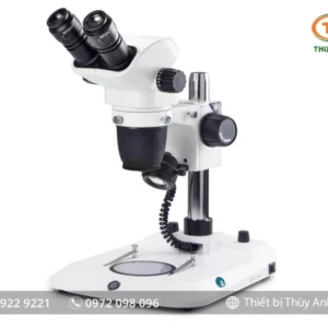 Kính hiển vi soi nổi NZ.1702-P EUROMEX (6,5X-55X)