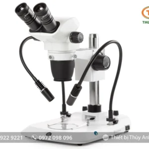 Kính hiển vi soi nổi NZ.1702-PG EUROMEX (6,5X-55X)